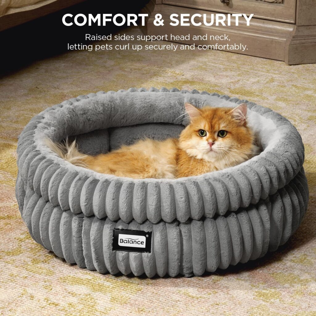 where your cat sleeps on your bed and what it really means.