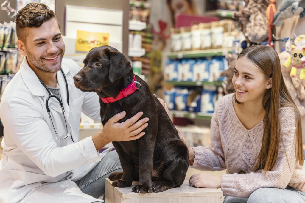 Safe Home Remedies for Dog Diarrhea
