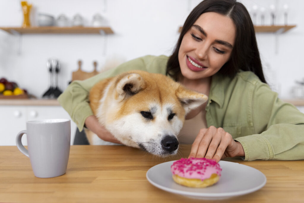 Why is my dog not eating his food but will eat treats?