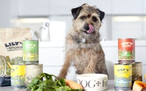 pets products