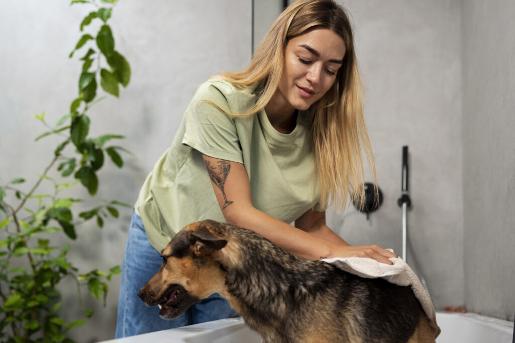 Best Dog Shampoos for Sensitive Skin