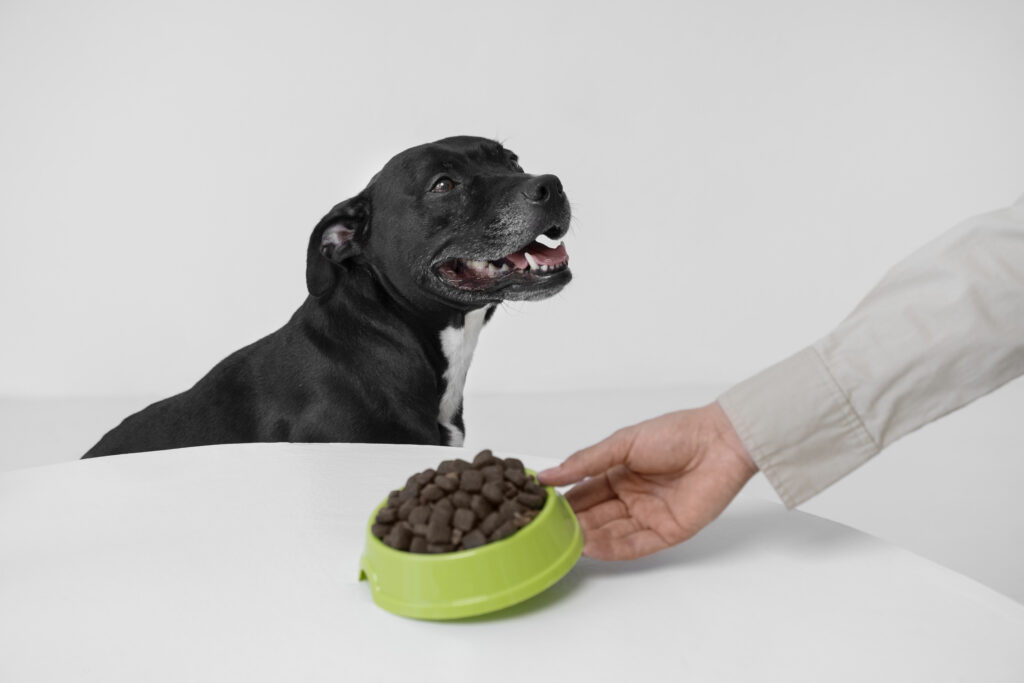 FDA Pet Food Recall 2025