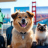 top 10 pet-friendly Vacation Spots in the USA
