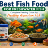 Best Fish Food for Freshwater Fish