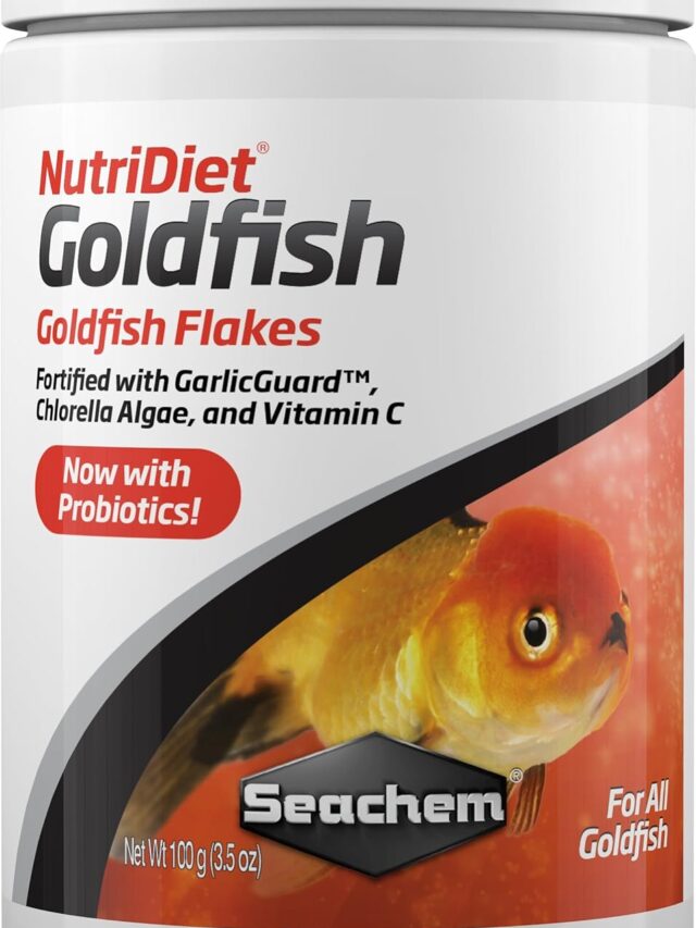 best fish food for freshwater fish
