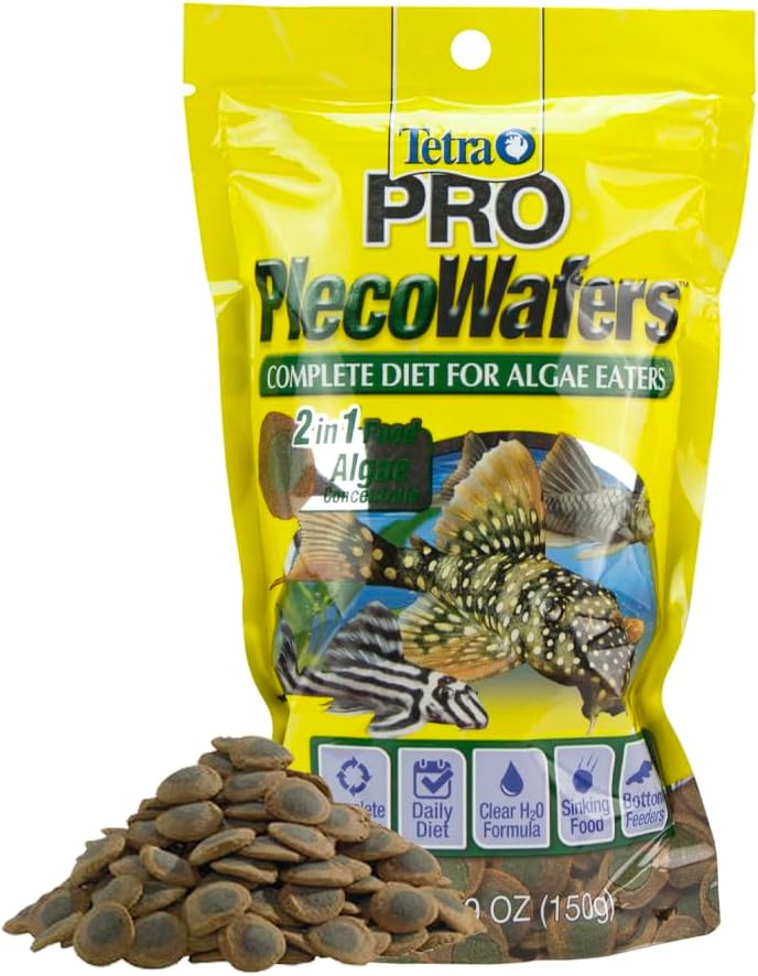 best fish food for freshwater fish