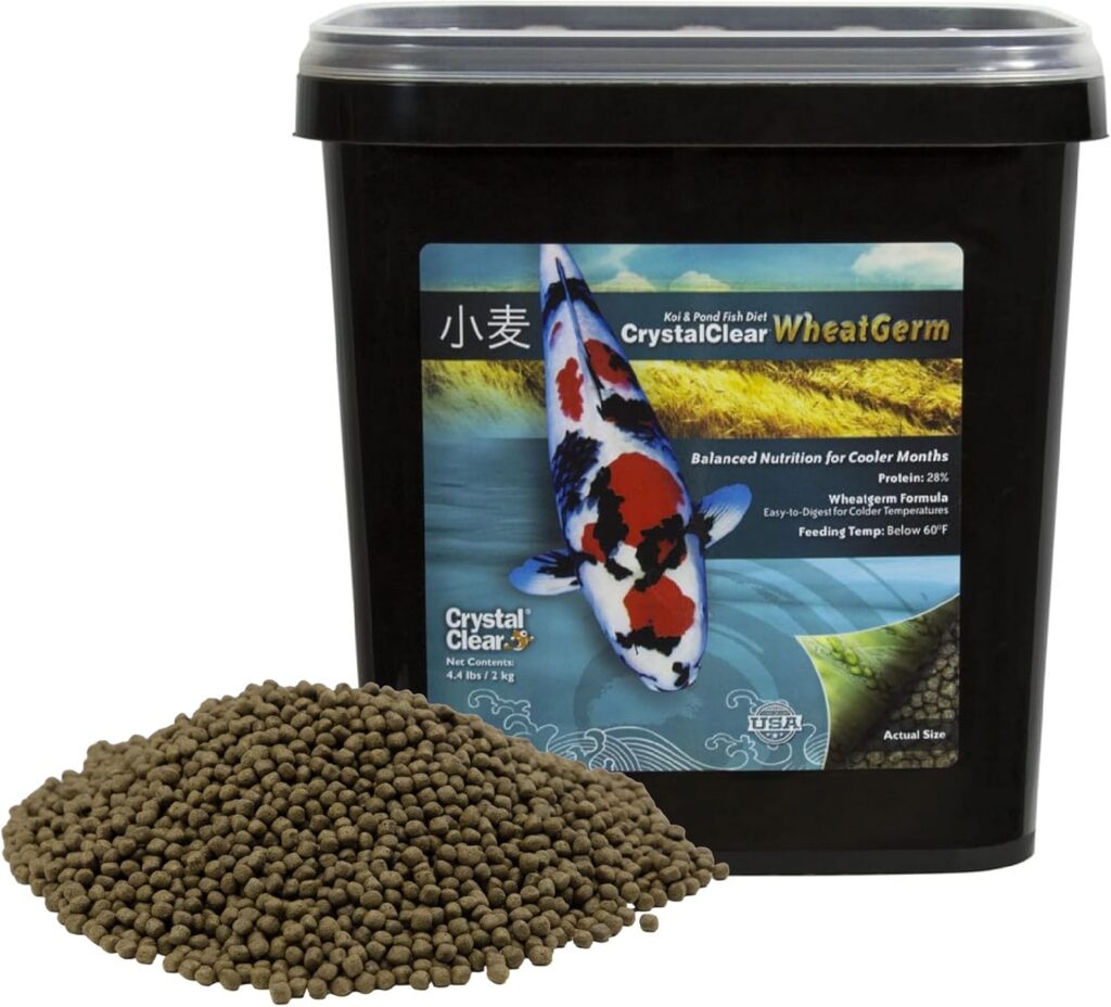 best fish food for freshwater fish