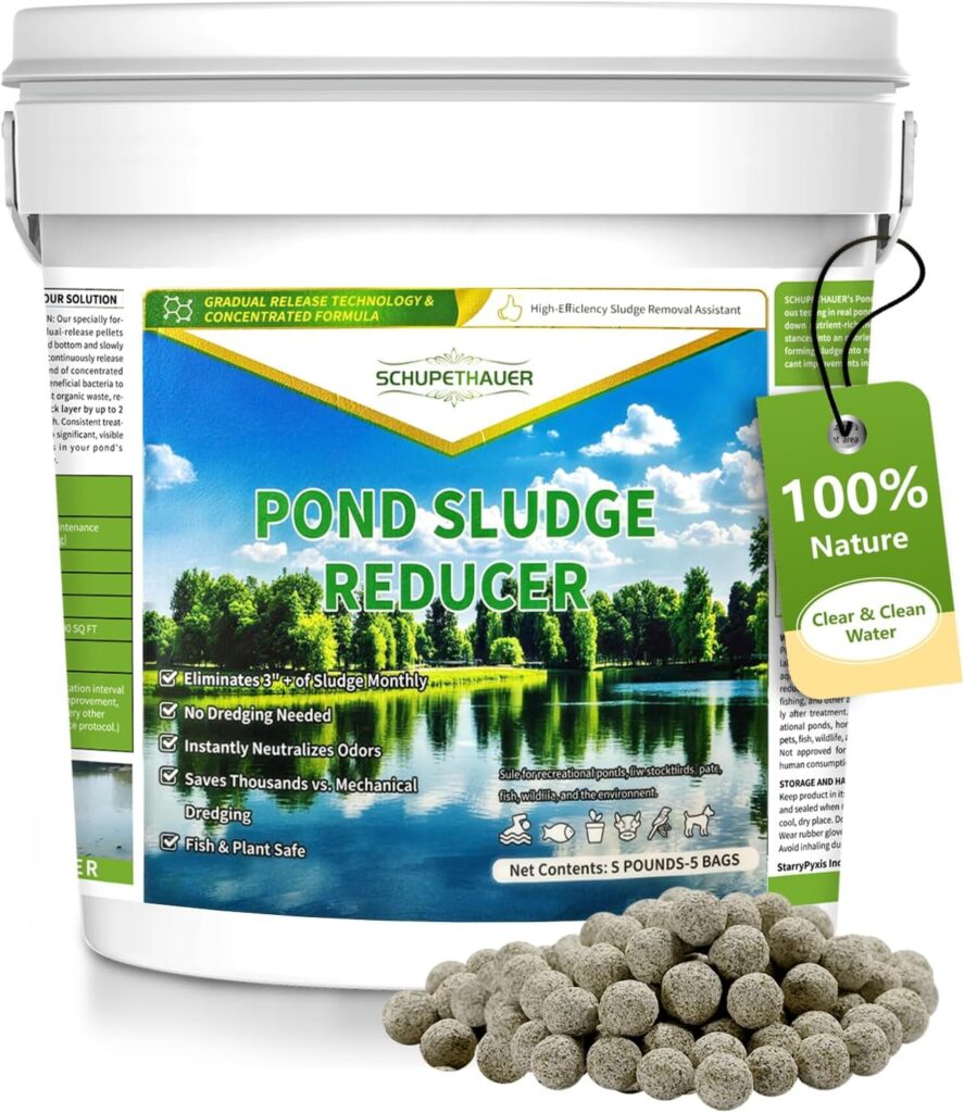 best fish food for freshwater fish