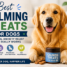 Best Calming Treats for Dogs