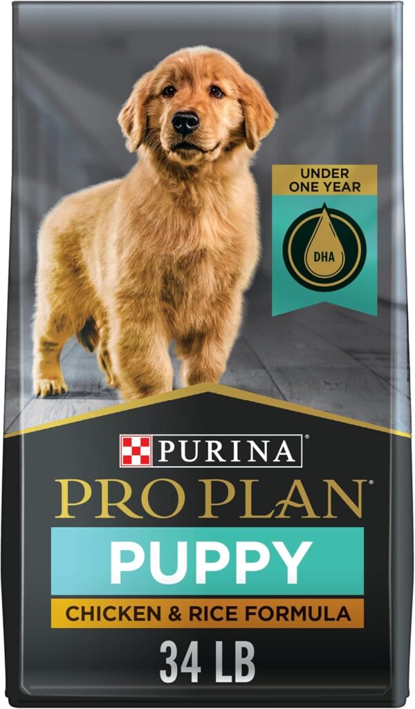 Best Dog Food for Puppies in the USA