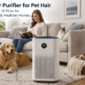 Best Air Purifier for Pet Hair