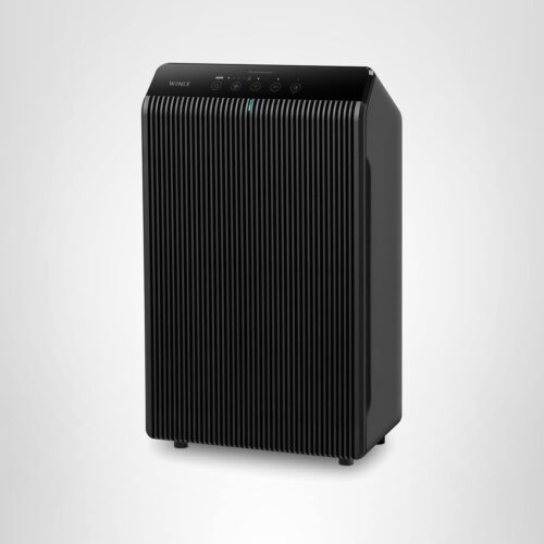 Best Air Purifier for Pet Hair