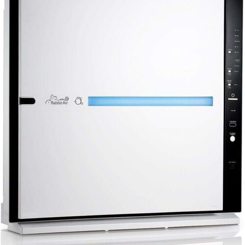 Best Air Purifier for Pet Hair
