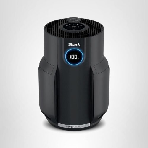 Best Air Purifier for Pet Hair