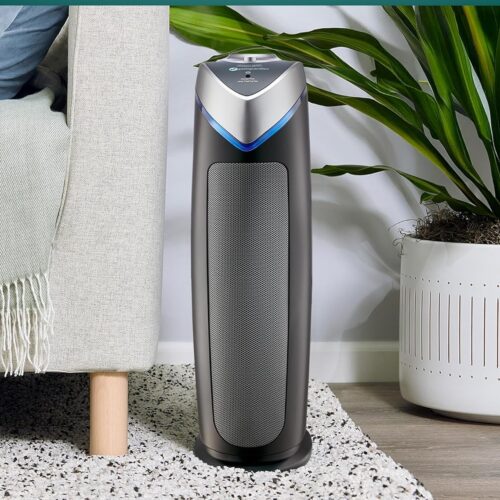 Best Air Purifier for Pet Hair