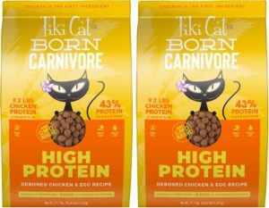 Best Cat Foods for Indoor Cats