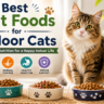 Best Cat Foods for Indoor Cats