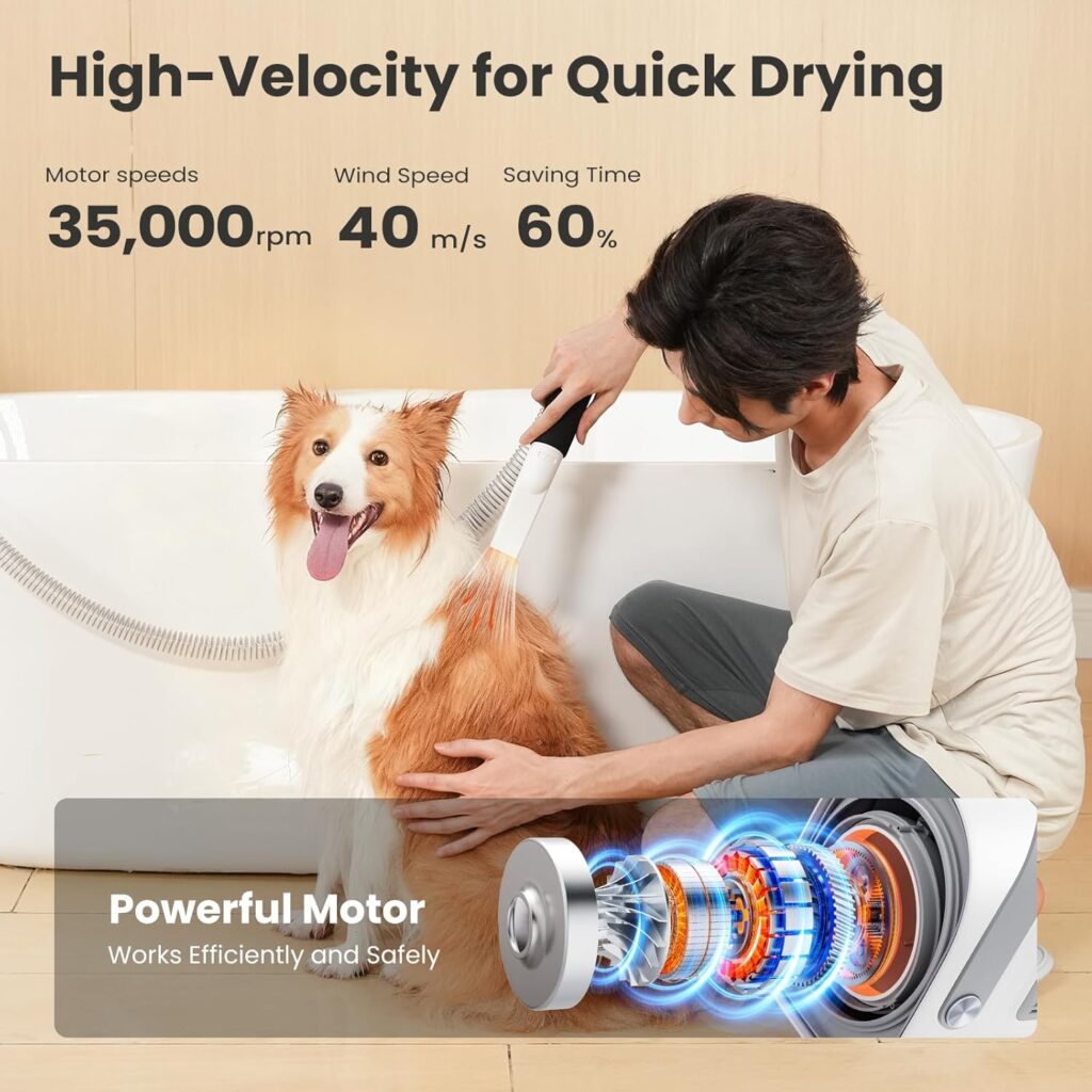 Best Dog Grooming Kit