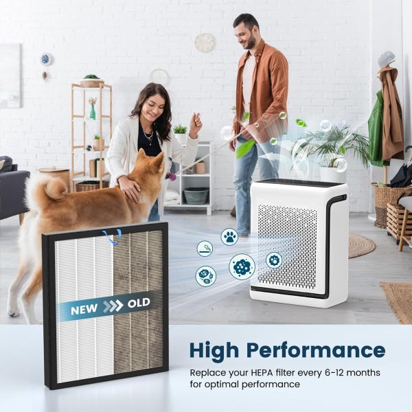 Best Air Purifier for Pet Hair
